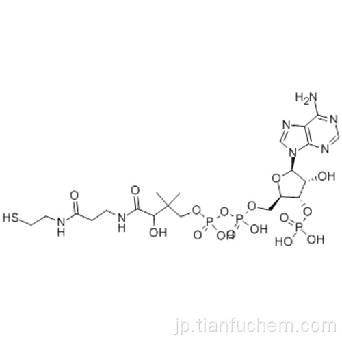 コエンザイムA CAS 85-61-0